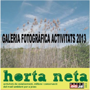 CARATULA HORTA NETA 2012